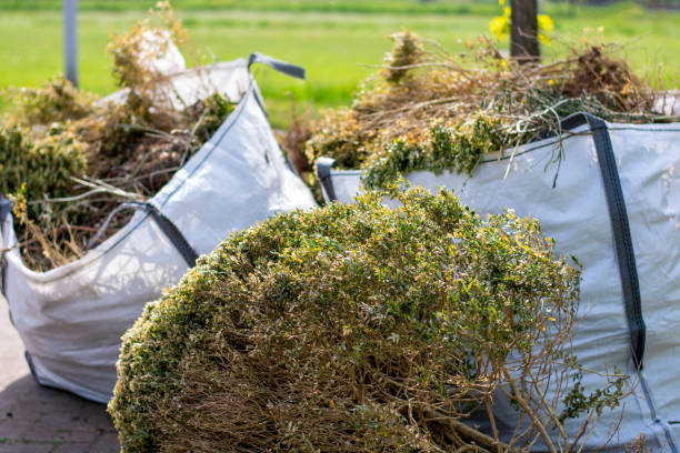 Demolition Debris Removal in Newark, NY